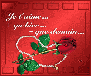 je t'aime à la folie